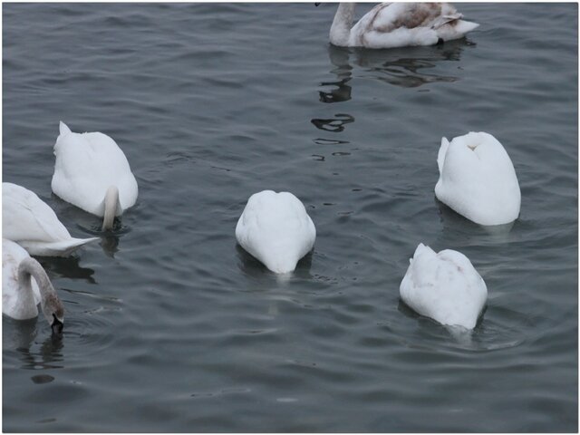 ������ ������ � ���������.  ���� 11.